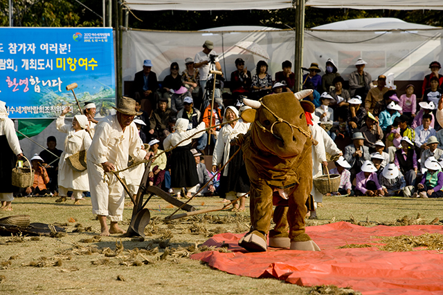 IMG_2011-09_초전보리일소리12_(제52회_한국민속예술축제).jpg