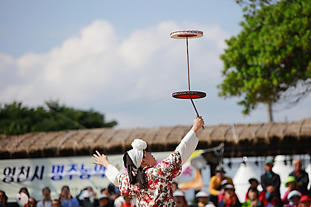 IMG_2018-입장식_및_개막식_(제59회_한국민속예술축제)_15.jpg